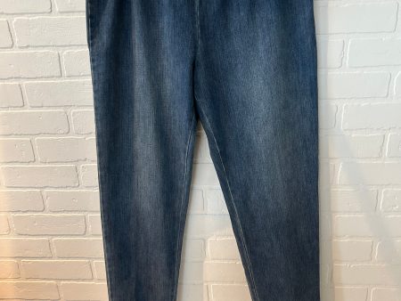 Jeans Skinny By Soft Surroundings In Blue, Size: 16 Fashion