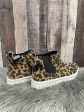 Shoes Sneakers By Blondo In Animal Print, Size: 9.5 Online now