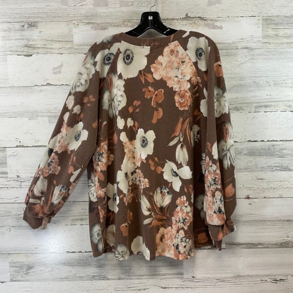 Top Long Sleeve By White Birch In Brown, Size: L Fashion