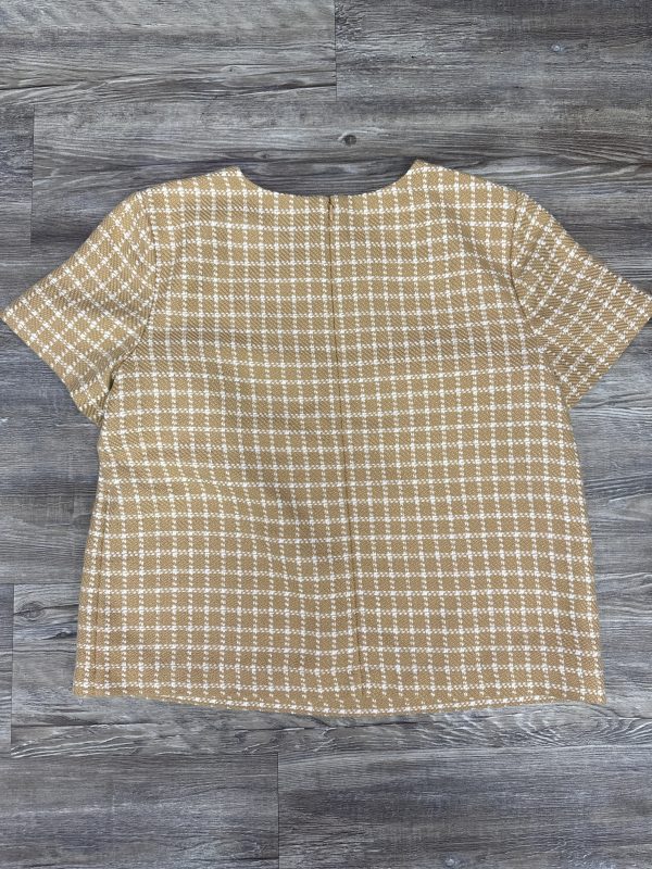 Top Short Sleeve By Ann Taylor In Brown & White, Size: M Online Hot Sale