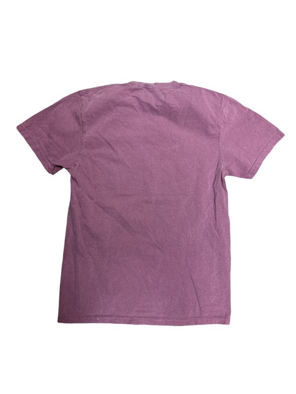 Top Short Sleeve By Comfort Colors In Purple, Size: S Hot on Sale