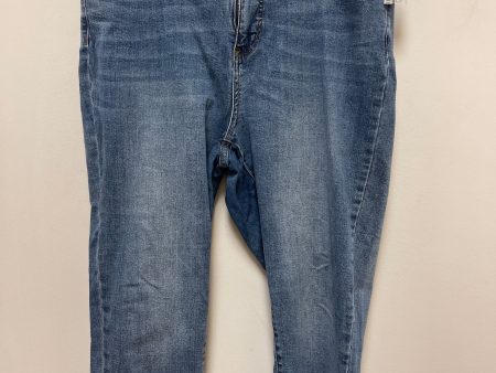 Jeans Skinny By John Mark In Blue Denim, Size: 18 Online now