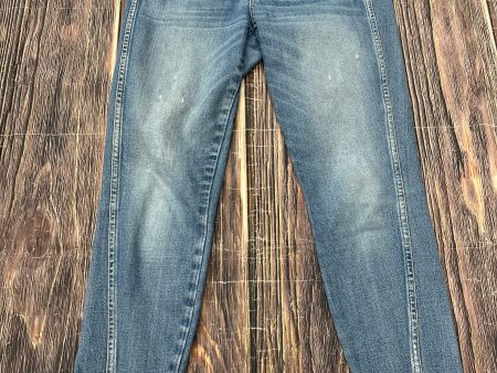 Jeans Skinny By Amo In Blue Denim, Size: 6 Online Sale