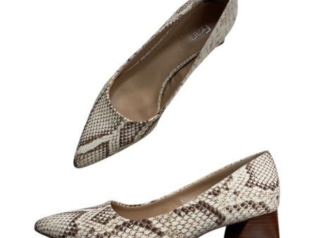 Shoes Heels Block By Franco Sarto In Snakeskin Print, Size: 8 Fashion