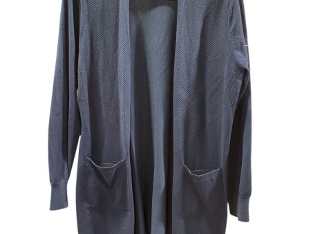 Cardigan By Clothes Mentor In Blue, Size: L Online Hot Sale